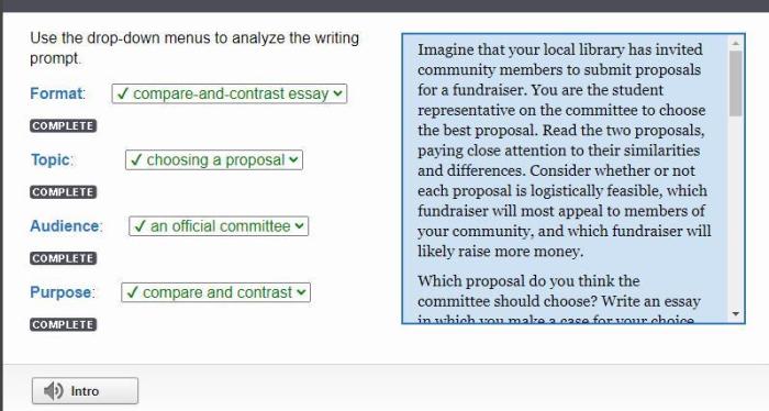 Use the drop-down menus to analyze the writing prompt. format