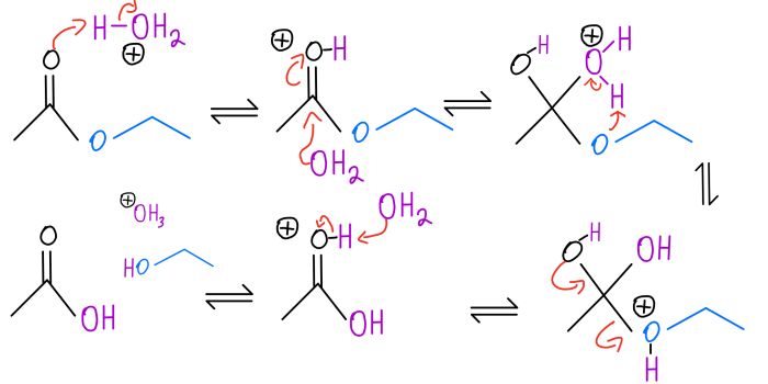 Draw reaction catalyzed acid following organic major inorganic do side show been has solved problem