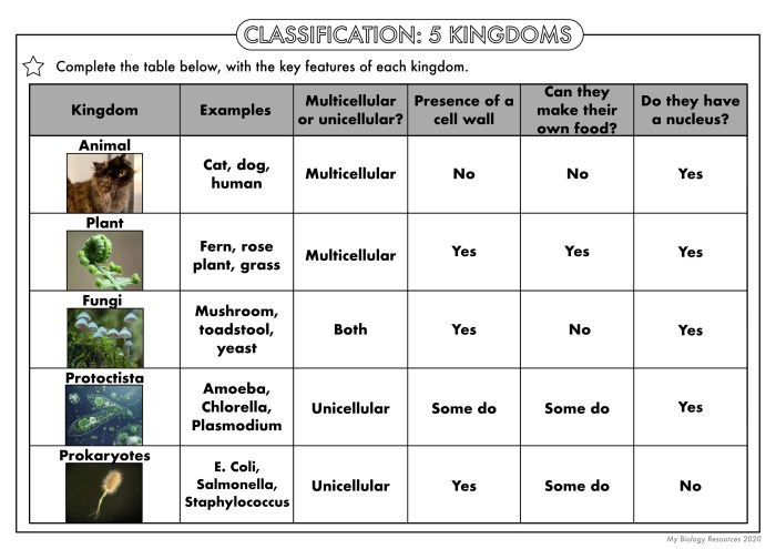 Worksheet matter classification key answer properties worksheets answers chemistry doc grade states science changes worksheeto school via excel db chessmuseum