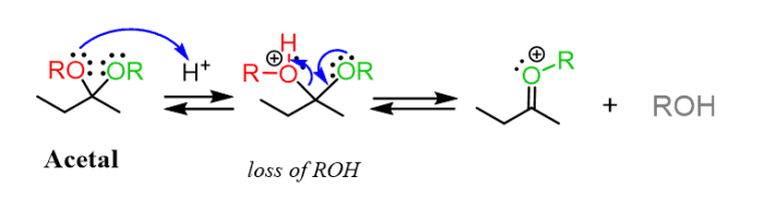 Draw complete hydrolysis answers transcribed text show reaction acetal