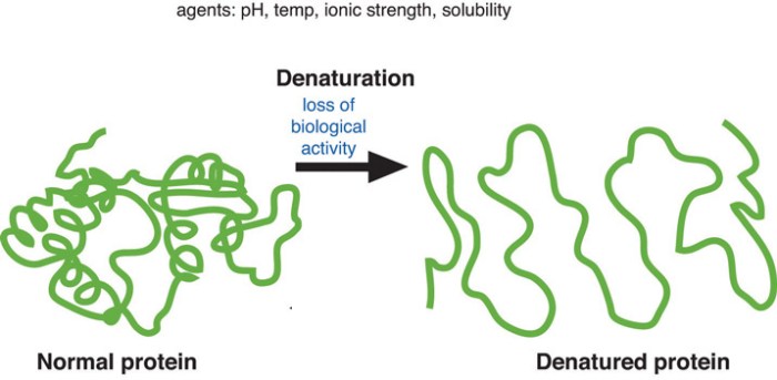 Select the true statements about denaturation.