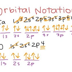 Electron configuration and orbital notation worksheet