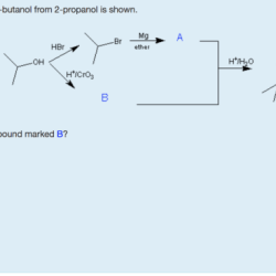 Dimethyl butanol 2r