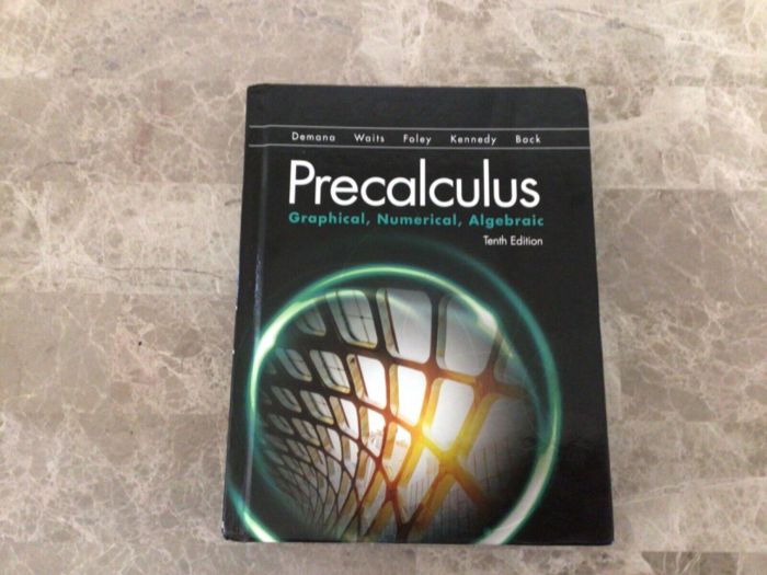 Precalculus graphical numerical algebraic 10th edition answers