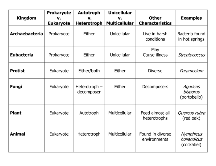 Kingdom classification worksheet answers key